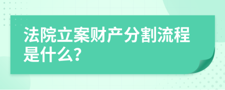 法院立案财产分割流程是什么？