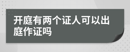 开庭有两个证人可以出庭作证吗