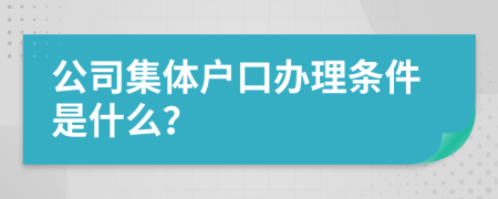 公司集体户口办理条件是什么？