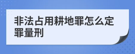 非法占用耕地罪怎么定罪量刑