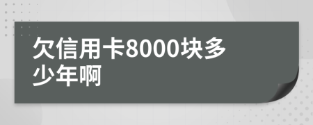 欠信用卡8000块多少年啊