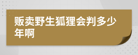 贩卖野生狐狸会判多少年啊