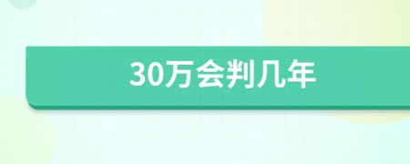 30万会判几年