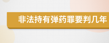 非法持有弹药罪要判几年