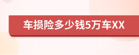 车损险多少钱5万车XX