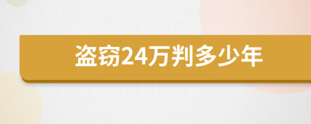 盗窃24万判多少年