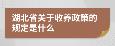 湖北省关于收养政策的规定是什么