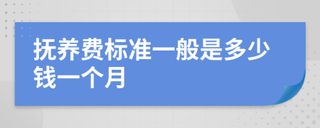 抚养费标准一般是多少钱一个月