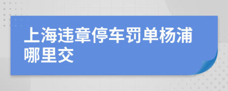 上海违章停车罚单杨浦哪里交