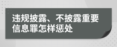 违规披露、不披露重要信息罪怎样惩处