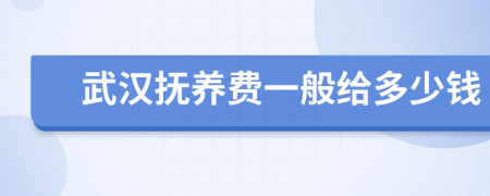 武汉抚养费一般给多少钱