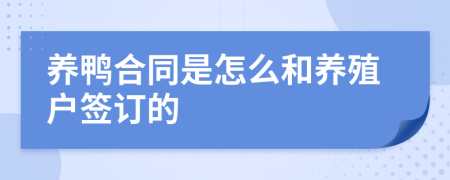 养鸭合同是怎么和养殖户签订的