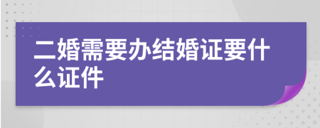 二婚需要办结婚证要什么证件