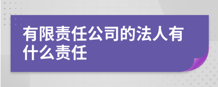 有限责任公司的法人有什么责任