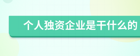 个人独资企业是干什么的