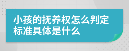 小孩的抚养权怎么判定标准具体是什么