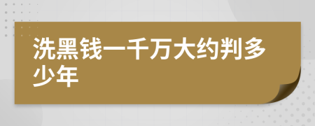 洗黑钱一千万大约判多少年