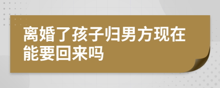 离婚了孩子归男方现在能要回来吗