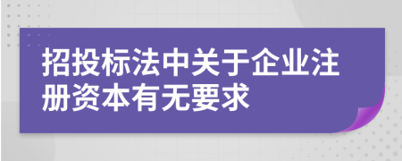 招投标法中关于企业注册资本有无要求