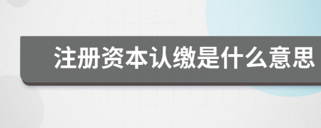 注册资本认缴是什么意思