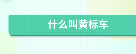 什么叫黄标车