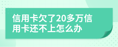 信用卡欠了20多万信用卡还不上怎么办