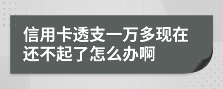 信用卡透支一万多现在还不起了怎么办啊