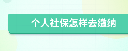 个人社保怎样去缴纳