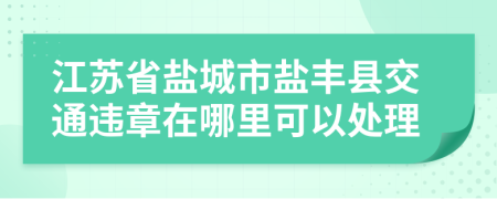江苏省盐城市盐丰县交通违章在哪里可以处理