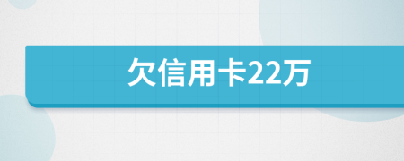 欠信用卡22万