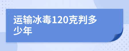 运输冰毒120克判多少年