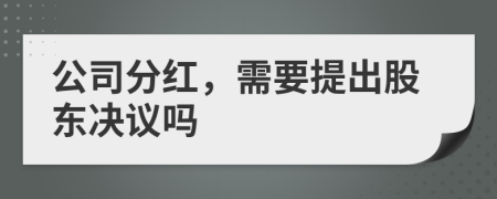 公司分红，需要提出股东决议吗