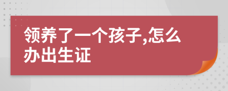 领养了一个孩子,怎么办出生证