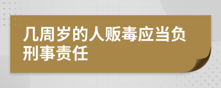 几周岁的人贩毒应当负刑事责任