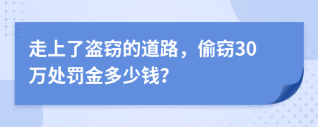 走上了盗窃的道路，偷窃30万处罚金多少钱？