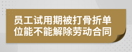 员工试用期被打骨折单位能不能解除劳动合同