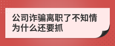 公司诈骗离职了不知情为什么还要抓