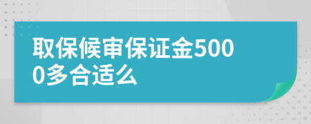 取保候审保证金5000多合适么