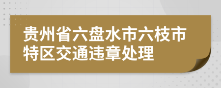 贵州省六盘水市六枝市特区交通违章处理