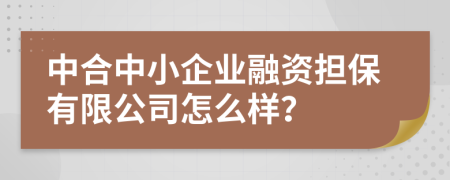 中合中小企业融资担保有限公司怎么样？