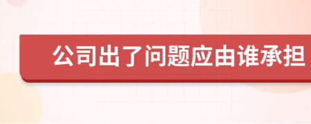 公司出了问题应由谁承担