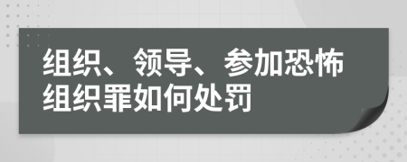 组织、领导、参加恐怖组织罪如何处罚