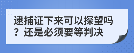 逮捕证下来可以探望吗？还是必须要等判决
