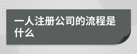 一人注册公司的流程是什么