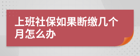 上班社保如果断缴几个月怎么办