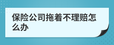 保险公司拖着不理赔怎么办