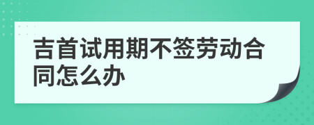 吉首试用期不签劳动合同怎么办