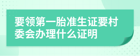 要领第一胎准生证要村委会办理什么证明