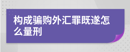 构成骗购外汇罪既遂怎么量刑