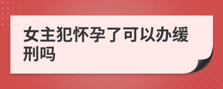 女主犯怀孕了可以办缓刑吗